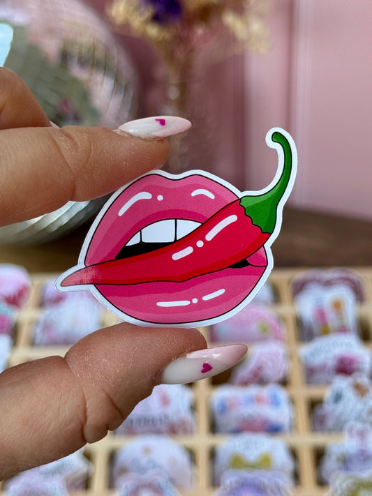 Stickers - Spicy Reader